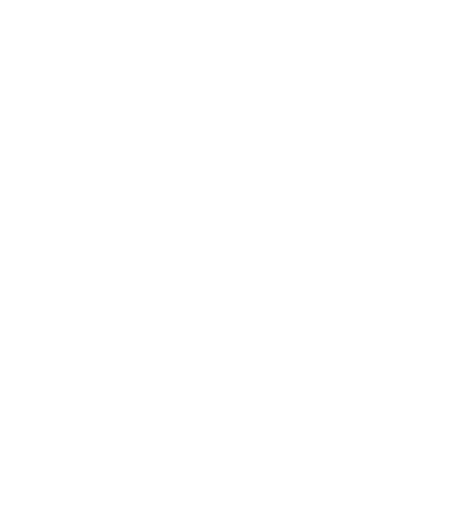 ICHOU INVEST PROPERTIES